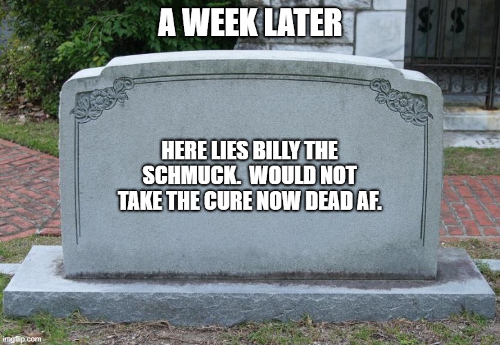 Gravestone | A WEEK LATER HERE LIES BILLY THE SCHMUCK.  WOULD NOT TAKE THE CURE NOW DEAD AF. | image tagged in gravestone | made w/ Imgflip meme maker