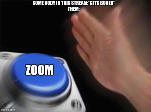 Blank Nut Button Meme | SOME BODY IN THIS STREAM:*GETS BORED*
THEM:; ZOOM | image tagged in memes,blank nut button | made w/ Imgflip meme maker