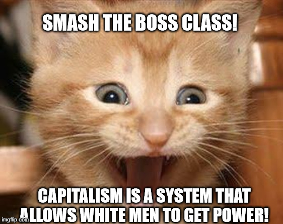 Excited Cat | SMASH THE BOSS CLASS! CAPITALISM IS A SYSTEM THAT ALLOWS WHITE MEN TO GET POWER! | image tagged in memes,excited cat | made w/ Imgflip meme maker