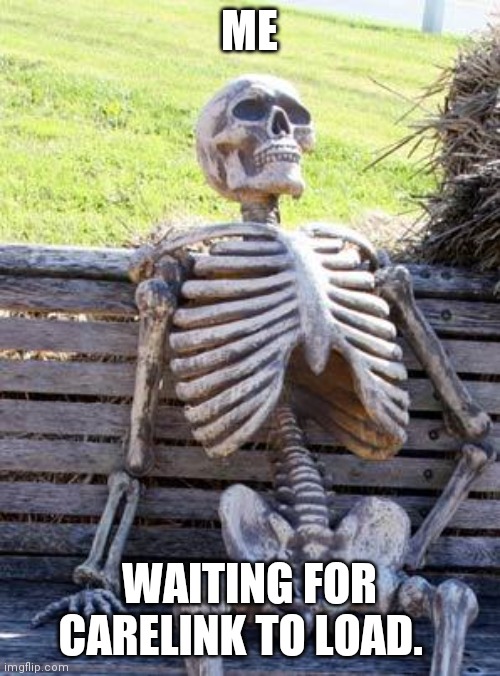 Waiting Skeleton Meme |  ME; WAITING FOR CARELINK TO LOAD. | image tagged in memes,waiting skeleton | made w/ Imgflip meme maker