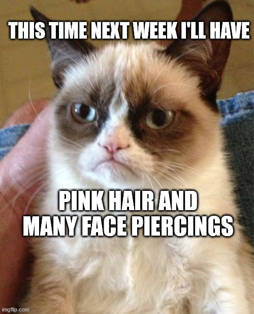 Grumpy Cat | THIS TIME NEXT WEEK I'LL HAVE; PINK HAIR AND MANY FACE PIERCINGS | image tagged in memes,grumpy cat | made w/ Imgflip meme maker