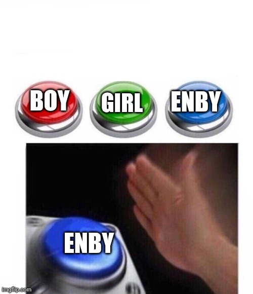 Three Buttons | BOY GIRL ENBY ENBY | image tagged in three buttons | made w/ Imgflip meme maker