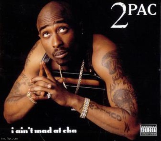 When you’re not mad. | image tagged in 2pac i ain t mad at cha | made w/ Imgflip meme maker