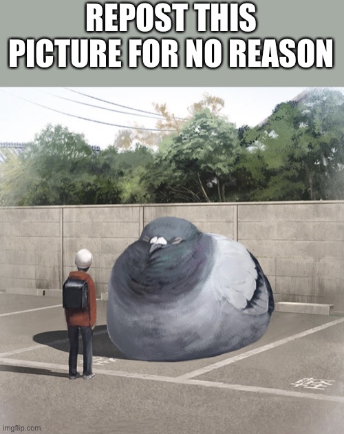 Beeg Birb | REPOST THIS PICTURE FOR NO REASON | image tagged in beeg birb | made w/ Imgflip meme maker