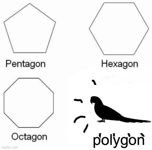 Get it? Like, parrot poly is gone | polygon | image tagged in memes,pentagon hexagon octagon | made w/ Imgflip meme maker