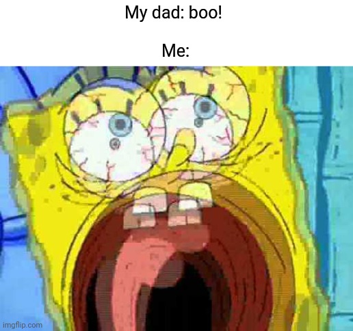 My dad is awesome. Thanks dad....  Don't ask about tags... | My dad: boo! 
ㅤㅤㅤㅤㅤㅤㅤㅤㅤㅤ
Me: | image tagged in spongebob screaming,don't ask what makes me want to make this,gotanypain,dad was here | made w/ Imgflip meme maker