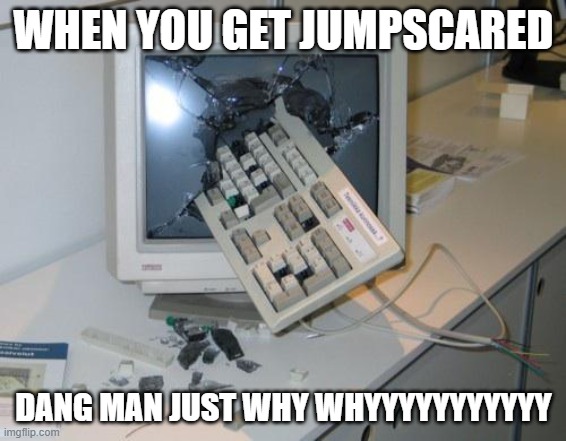 FNAF rage | WHEN YOU GET JUMPSCARED; DANG MAN JUST WHY WHYYYYYYYYYYY | image tagged in fnaf rage | made w/ Imgflip meme maker
