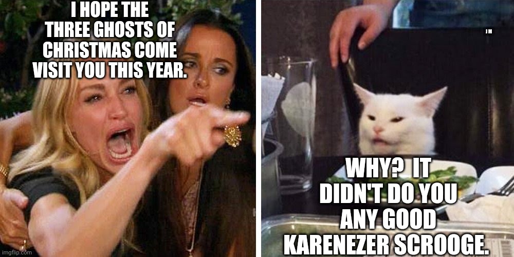 Smudge the cat | I HOPE THE THREE GHOSTS OF CHRISTMAS COME VISIT YOU THIS YEAR. J M; WHY?  IT DIDN'T DO YOU ANY GOOD KARENEZER SCROOGE. | image tagged in smudge the cat | made w/ Imgflip meme maker