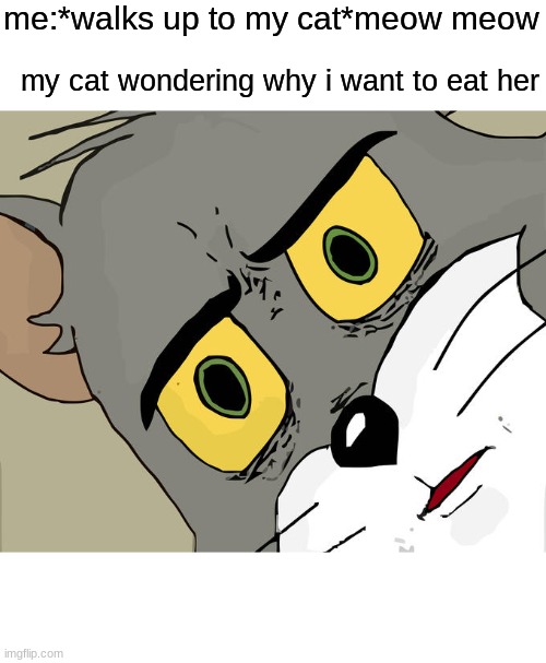 Unsettled Tom | me:*walks up to my cat*meow meow; my cat wondering why i want to eat her | image tagged in memes,unsettled tom | made w/ Imgflip meme maker