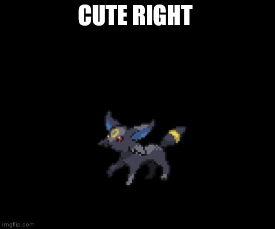 CUTE RIGHT | made w/ Imgflip meme maker