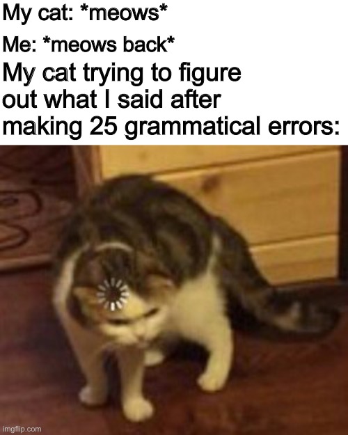 What did you just say sir? | My cat: *meows*; My cat trying to figure out what I said after making 25 grammatical errors:; Me: *meows back* | image tagged in loading cat | made w/ Imgflip meme maker