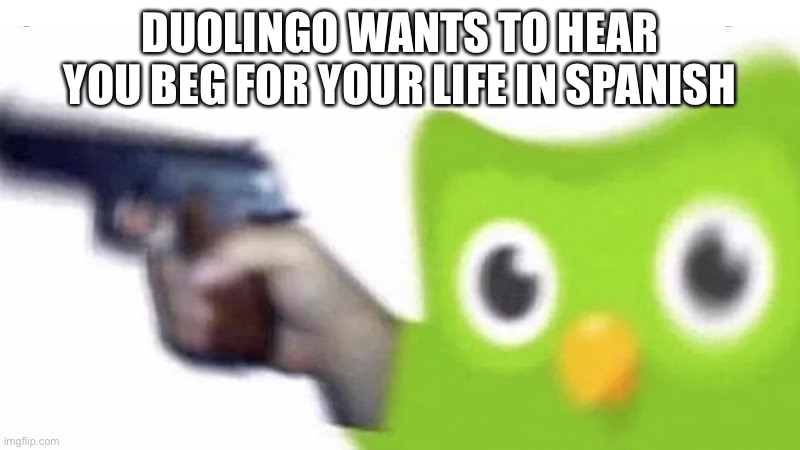 duolingo gun | DUOLINGO WANTS TO HEAR YOU BEG FOR YOUR LIFE IN SPANISH | image tagged in duolingo gun | made w/ Imgflip meme maker