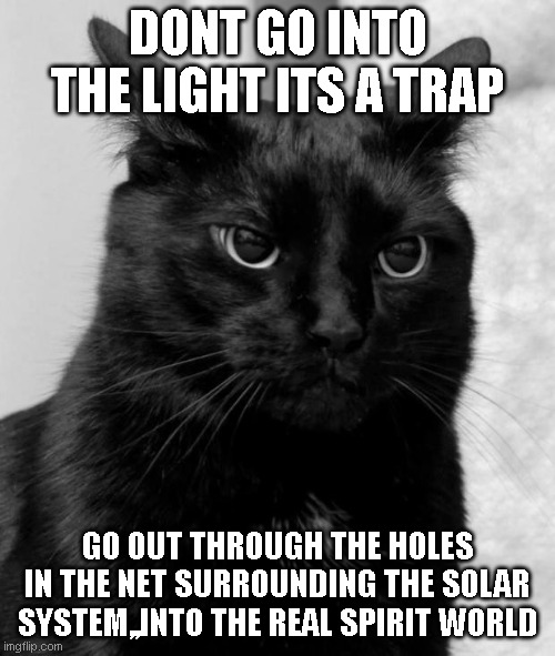 Black cat pissed | DONT GO INTO THE LIGHT ITS A TRAP; GO OUT THROUGH THE HOLES IN THE NET SURROUNDING THE SOLAR SYSTEM,,INTO THE REAL SPIRIT WORLD | image tagged in black cat pissed | made w/ Imgflip meme maker