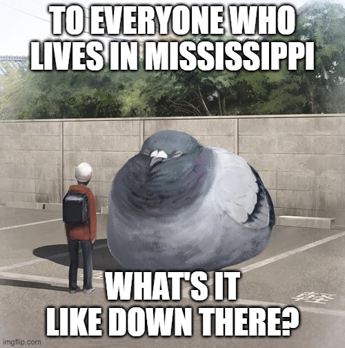 I'm just some Virginian | TO EVERYONE WHO LIVES IN MISSISSIPPI; WHAT'S IT LIKE DOWN THERE? | image tagged in beeg birb | made w/ Imgflip meme maker
