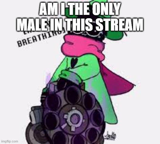 Ralsei | AM I THE ONLY MALE IN THIS STREAM | image tagged in ralsei | made w/ Imgflip meme maker
