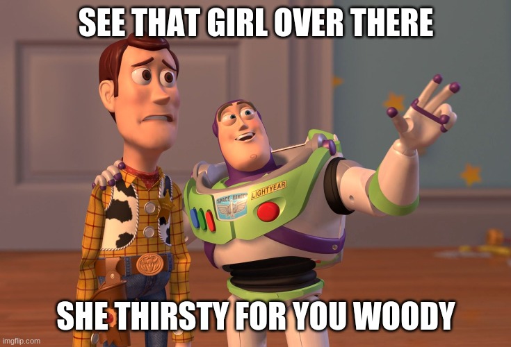 first meme like it | SEE THAT GIRL OVER THERE; SHE THIRSTY FOR YOU WOODY | image tagged in memes,x x everywhere | made w/ Imgflip meme maker