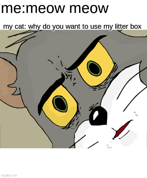 Unsettled Tom Meme | me:meow meow; my cat: why do you want to use my litter box | image tagged in memes,unsettled tom | made w/ Imgflip meme maker