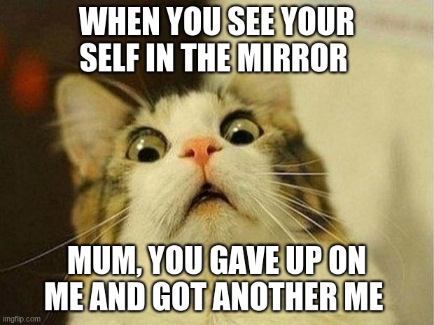 Scared Cat Meme | WHEN YOU SEE YOUR SELF IN THE MIRROR; MUM, YOU GAVE UP ON ME AND GOT ANOTHER ME | image tagged in memes,scared cat | made w/ Imgflip meme maker