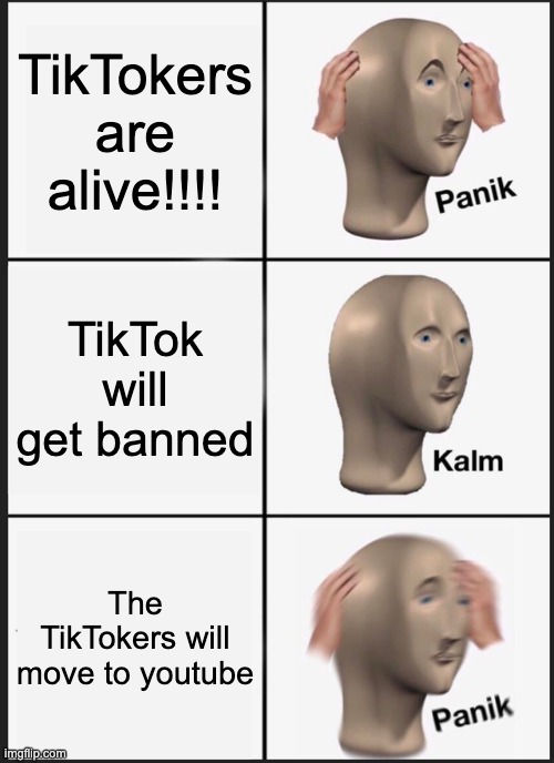 NOOOOOO | TikTokers are alive!!!! TikTok will get banned; The TikTokers will move to youtube | image tagged in memes,panik kalm panik | made w/ Imgflip meme maker