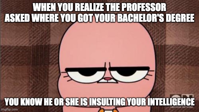 Professor Insults Your Intelligence | WHEN YOU REALIZE THE PROFESSOR ASKED WHERE YOU GOT YOUR BACHELOR'S DEGREE; YOU KNOW HE OR SHE IS INSULTING YOUR INTELLIGENCE | image tagged in anais' grumpy face,college,memes,professor | made w/ Imgflip meme maker