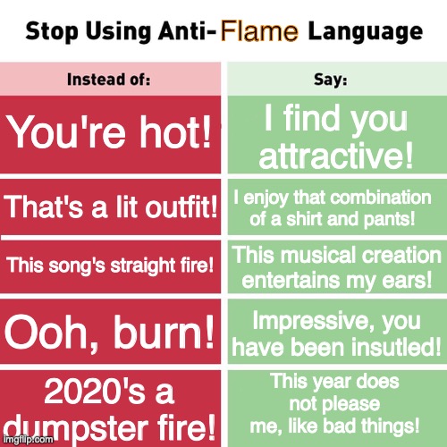 please guys its really rude and insensitive | Flame; You're hot! I find you attractive! That's a lit outfit! I enjoy that combination of a shirt and pants! This song's straight fire! This musical creation entertains my ears! Impressive, you have been insutled! Ooh, burn! This year does not please me, like bad things! 2020's a dumpster fire! | image tagged in stop using anti-animal language,fire,memes,funny memes | made w/ Imgflip meme maker