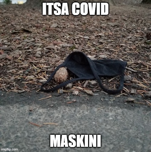 Itsy Bitsy Teeny Weeny Covid Maskini | ITSA COVID; MASKINI | image tagged in covid-19,covid,mask | made w/ Imgflip meme maker