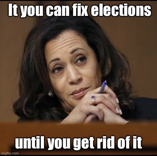 Kamala Harris  | It you can fix elections until you get rid of it | image tagged in kamala harris | made w/ Imgflip meme maker