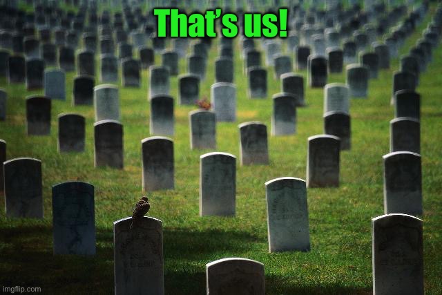 graveyard cemetary | That’s us! | image tagged in graveyard cemetary | made w/ Imgflip meme maker