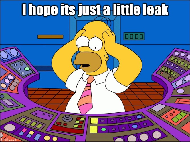 Worrying Homer | I hope its just a little leak | image tagged in worrying homer | made w/ Imgflip meme maker