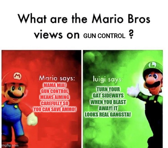 Mario brothers love guns! | MAMA MIA! GUN CONTROL MEANS AIMING CAREFULLY SO YOU CAN SAVE AMMO! TURN YOUR GAT SIDEWAYS WHEN YOU BLAST AWAY! IT LOOKS REAL GANGSTA! GUN CO | image tagged in mario bros views,gun control,mario,luigi,super mario | made w/ Imgflip meme maker