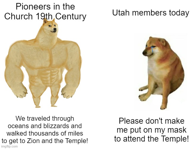 Utah Mormons, then and now... | Pioneers in the Church 19th Century; Utah members today; We traveled through oceans and blizzards and walked thousands of miles to get to Zion and the Temple! Please don't make me put on my mask to attend the Temple! | image tagged in memes,buff doge vs cheems | made w/ Imgflip meme maker