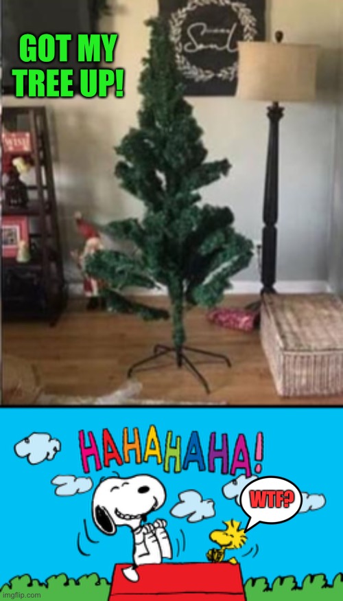 A Charlie Brown special. | GOT MY TREE UP! WTF? | image tagged in christmas tree,charlie brown,memes,funny | made w/ Imgflip meme maker