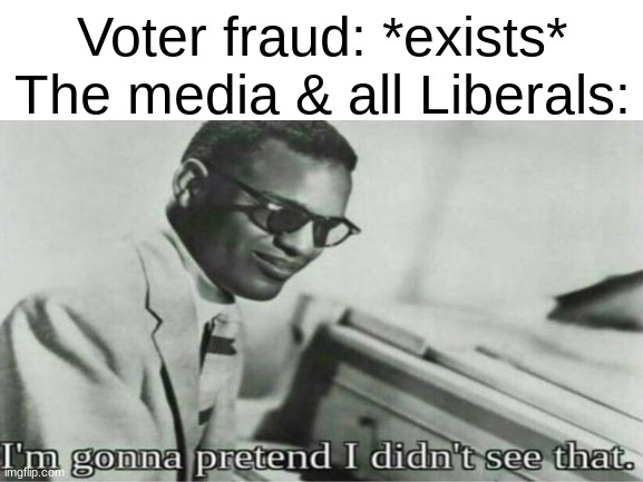 I'm Gonna Pretend I Didn't See That | Voter fraud: *exists*
The media & all Liberals: | image tagged in im gonna pretend i didnt see that,voter fraud,media,liberal,leftist,democrat | made w/ Imgflip meme maker