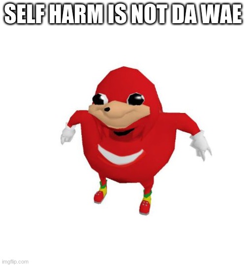Ugandan Knuckles | SELF HARM IS NOT DA WAE | image tagged in ugandan knuckles | made w/ Imgflip meme maker