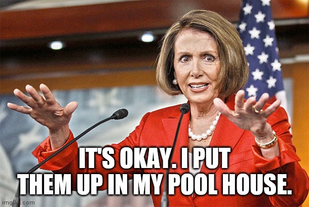 Nancy Pelosi is crazy | IT'S OKAY. I PUT THEM UP IN MY POOL HOUSE. | image tagged in nancy pelosi is crazy | made w/ Imgflip meme maker