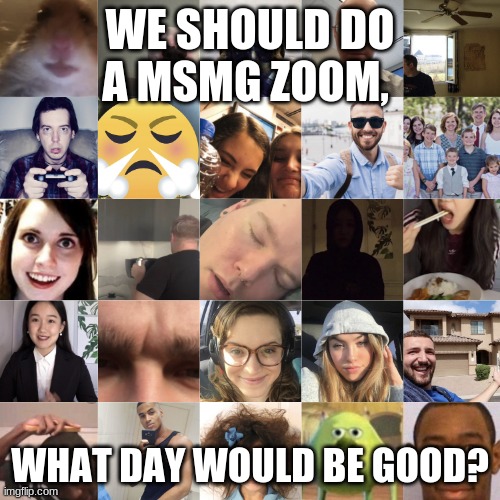 Zoom Classes Be Like | WE SHOULD DO A MSMG ZOOM, WHAT DAY WOULD BE GOOD? | image tagged in zoom classes be like | made w/ Imgflip meme maker