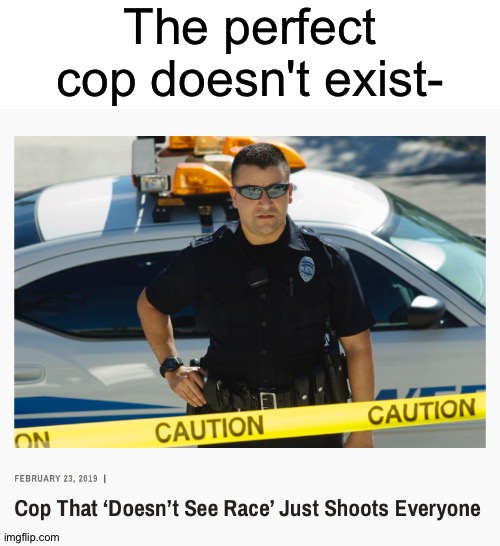 Security 100 | The perfect cop doesn't exist- | image tagged in memes,secure parking,police | made w/ Imgflip meme maker