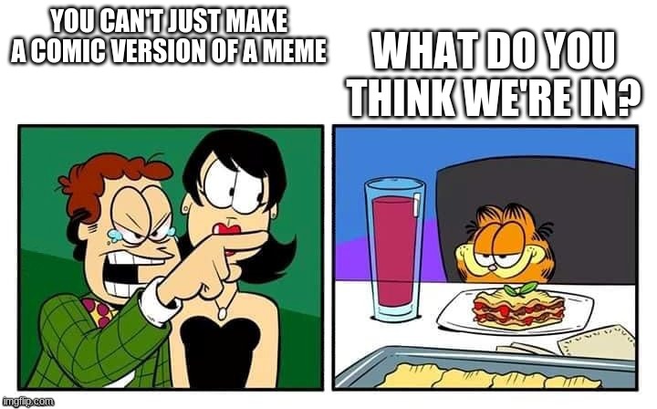 John yelling at Garfield | WHAT DO YOU THINK WE'RE IN? YOU CAN'T JUST MAKE A COMIC VERSION OF A MEME | image tagged in john yelling at garfield,garfield,memes,funny,woman yelling at cat | made w/ Imgflip meme maker
