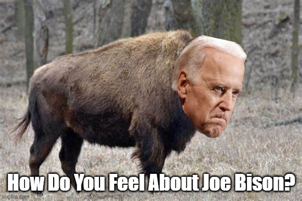 How Do You Feel About Joe Bison? | made w/ Imgflip meme maker