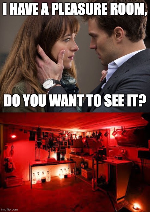 Photo darkroom | I HAVE A PLEASURE ROOM, DO YOU WANT TO SEE IT? | image tagged in i have a pleasure room | made w/ Imgflip meme maker