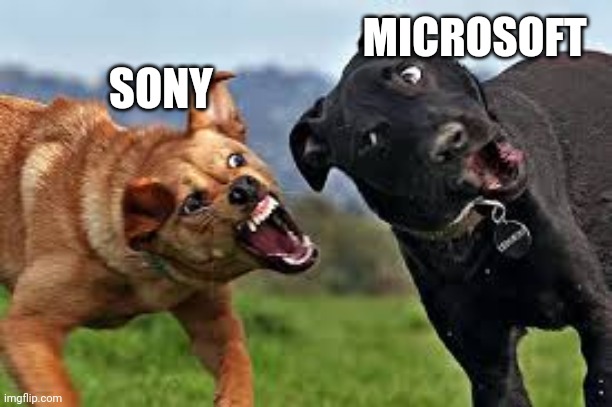 Dog Fight | SONY MICROSOFT | image tagged in dog fight | made w/ Imgflip meme maker