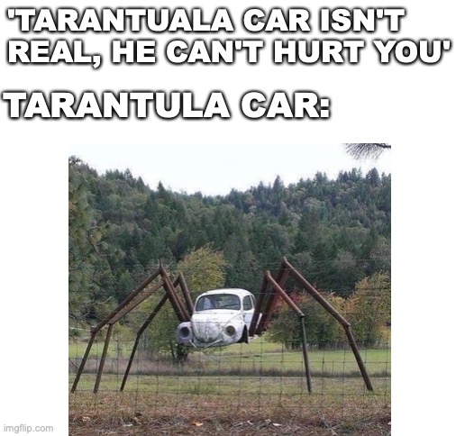 Tarantula Car | 'TARANTUALA CAR ISN'T REAL, HE CAN'T HURT YOU'; TARANTULA CAR: | image tagged in blank white template,cursed image,cursed,bruh | made w/ Imgflip meme maker