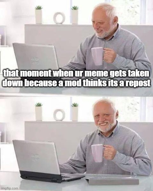 *insert a good title that fits the meme* | that moment when ur meme gets taken down because a mod thinks its a repost | image tagged in memes,hide the pain harold | made w/ Imgflip meme maker