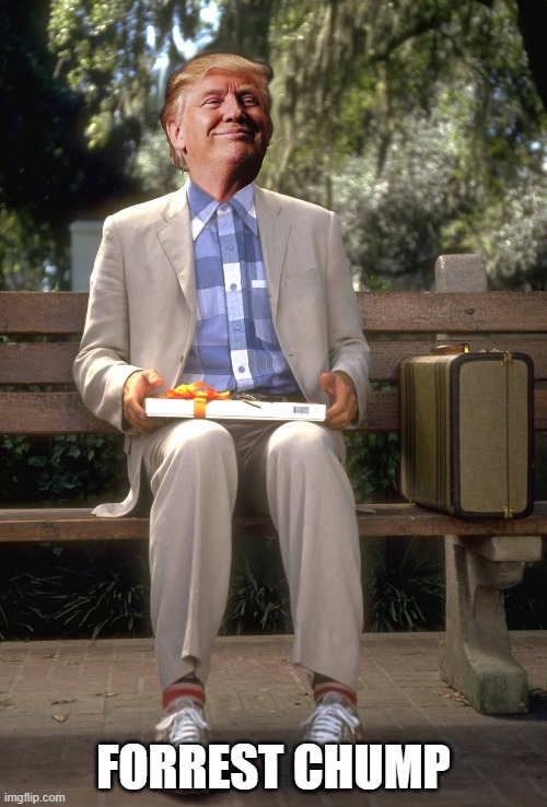 Forrest Chump | FORREST CHUMP | image tagged in donald trump,trump,maga,forrest gump | made w/ Imgflip meme maker