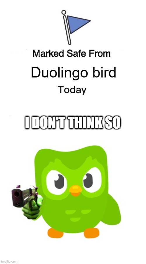 Duo is mad | Duolingo bird; I DON'T THINK SO | image tagged in memes,marked safe from,duolingo gun | made w/ Imgflip meme maker