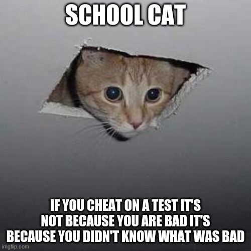 Ceiling Cat | SCHOOL CAT; IF YOU CHEAT ON A TEST IT'S NOT BECAUSE YOU ARE BAD IT'S BECAUSE YOU DIDN'T KNOW WHAT WAS BAD | image tagged in memes,ceiling cat | made w/ Imgflip meme maker