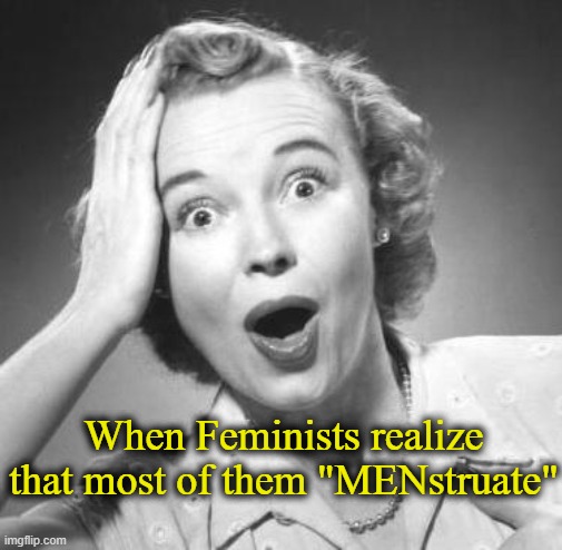 It be that way, tho. | When Feminists realize that most of them "MENstruate" | image tagged in surprised woman,triggered feminist | made w/ Imgflip meme maker
