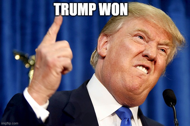 Donald Trump | TRUMP WON | image tagged in donald trump | made w/ Imgflip meme maker
