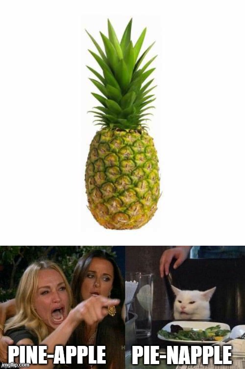 PINE-APPLE; PIE-NAPPLE | image tagged in woman yeling at cat | made w/ Imgflip meme maker