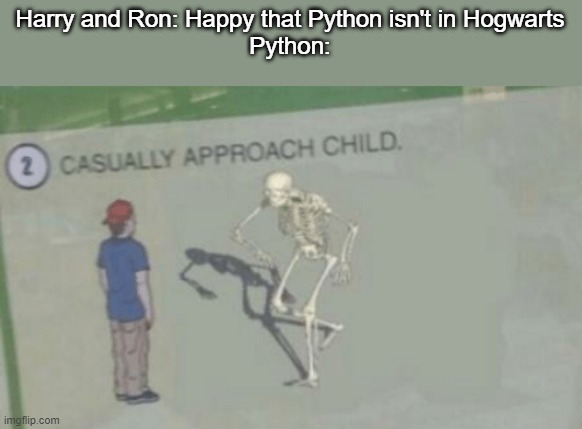 Casually Approach Child |  Harry and Ron: Happy that Python isn't in Hogwarts
Python: | image tagged in casually approach child | made w/ Imgflip meme maker